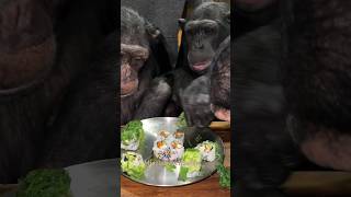 Sushi with the Chimp Brothers  Vali Sugriva Angada and baby Tara monkey [upl. by Kory]