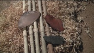 Primitive Tool Arrow Shafts from Ocean Spray Shoots [upl. by Rexer]