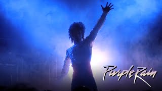 Riffs Ruffles and a Revolution The Impact and Influence of Purple Rain  Purple Rain [upl. by Ariamoy542]