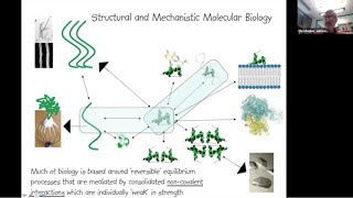 Biomolecular Thermodynamics and Calorimetry  Chris Johnson [upl. by Eerhs]