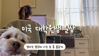 미국 대학원생 과제에 치여사는 일상😮‍💨 [upl. by Supmart]