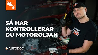 Kontrollera motoroljan – hur och varför  AUTODOC tipsar [upl. by Sharron]