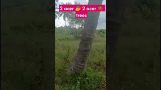 138 acer  2 acer  Extra Land for sale at Channapatna Multi Purpose land Property ID 10102024 [upl. by Illil]