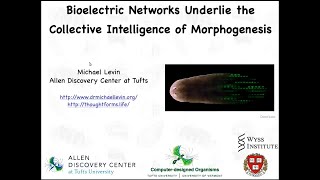 Bioelectric networks underlie the collective intelligence of morphogenesis [upl. by Acnaib801]