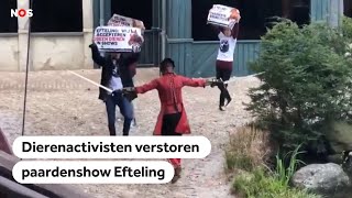 EFTELING Activisten verstoren paardenshow Raveleijn in de Efteling [upl. by Ecyla]