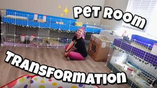 PET ROOM TRANSFORMATION  building new guinea pig cages [upl. by Vergos406]