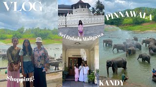 VLOG DALADA MALIGAWA  PINNAWALA KANDY [upl. by Eiroc]