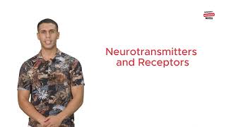 Neurotransmitters and Receptors [upl. by Christiansen]