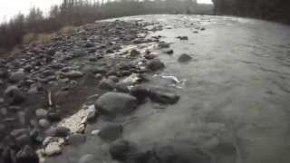 Fly Fishing New Zealand  Tongariro River [upl. by Weihs]