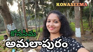 AMALAPURAM  KONASEEMA  BEAUTIFUL CINEMATIC LOCATION  USHARAVI [upl. by Caves]