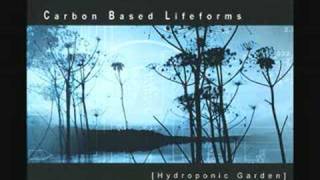 Carbon Based Lifeforms MOS 6581 [upl. by Baldridge]