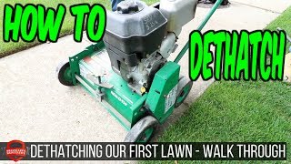 Dethatching Our First Lawn  How To  Vlog Walk Through [upl. by Ocnarf]