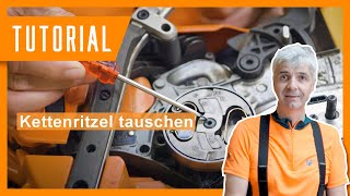 Wolfi zeigt Kettenritzel bei der Motorsäge tauschen I Motorsäge reparieren I BaySF Tutorial [upl. by Adamok]