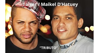 Tributo al Taiger M Ft Julito PadronRoldan Ex OrichasMaria Carla Llera Soler Yandi Morales [upl. by Samuela]