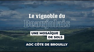 Côte de Brouilly cru du Beaujolais  Le vignoble du Beaujolais une mosaïque de sols [upl. by Attenat]