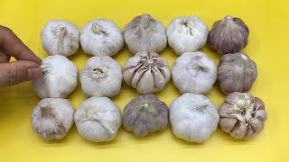 Garlic Is Very Easy To Preserve No Spoilage Shrinkage Or Sprouting Really Effective Method [upl. by Edac]