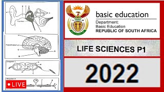 2022 paper 1 life sciences grade 12 msaidi [upl. by Nadirehs17]