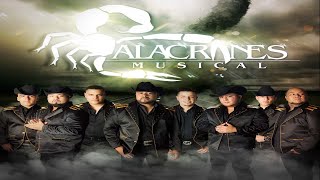 Alacranes Musical Mix de Éxitos [upl. by Llatsyrk447]