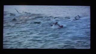 Ironman Hawaii 2009 The Swim Start Underwater View in Slow Motion [upl. by Freeman442]