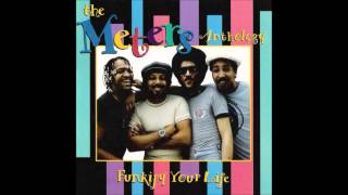 The Meters Pungee [upl. by Balfore935]