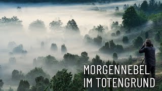 Morgennebel im Totengrund ● Fotografieren in der Heide [upl. by Anemolihp269]