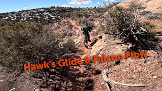 Raptor Route  Hawks Glide amp Falcon Flow [upl. by Dolly]