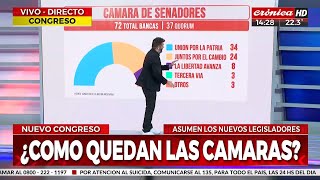 Juraron los diputados electos ¿Cómo queda el Congreso [upl. by Elak]