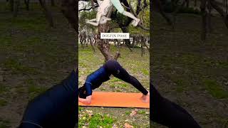 Best Exercise For Back Pain  Stretching  Flexibility 🧘‍♂️ 💪 ✅💯 trending shorts viral yoga [upl. by Norved]