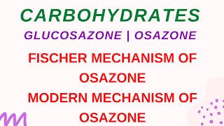 LECTURE 3 Carbohydrates  MECHANISM OF OSAZONE FORMATION  FISCHER MECHANISM  MODERN MECHANISM [upl. by Branen]