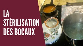 Stériliser ses bocaux  La technique de conservation simple et efficace [upl. by Freudberg]