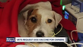 Dog owner warns others about deadly bacterial infection [upl. by Ettenal]