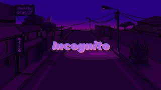 Stalk Ashley  Incognito ft Alkaline slowedreverb [upl. by Oiled]