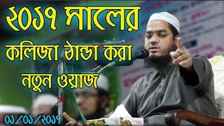 Hafizur Rahman Siddiki Bangla Waz 2017  Bangla New Waz 2017 Kolija Danda Kora New Waz [upl. by Maddox78]