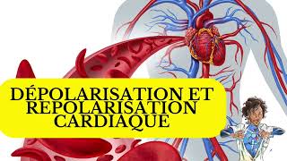 DÉPOLARISATION ET REPOLARISATION CARDIAQUE infirmiere nurse yt ytshort fypシ medecine medical [upl. by Haronid364]