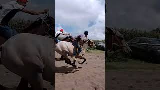 carrera de caballos [upl. by Cobby]