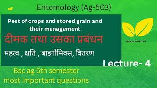 Termiteदीमक  importance bionomics nature of damage life cycle management  lecture—4 [upl. by Marbut]