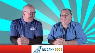 Meet The Founders Of McCann Professional Dog Trainers [upl. by Ahsikad]