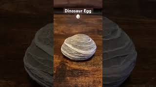 Fossilized Dinosaur 🦖 Egg 🥚 jurassicworld dinosaur [upl. by Annasiul592]