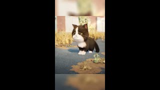 Kitten Match PERFECT Time with Cute Kitties COMPILATION [upl. by Bracci]