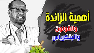 أهمية الزائدة  والقولون \ والبنكرياس  ووظائف الأنسولين  دكتور جودة محمد عواد [upl. by Faunia]