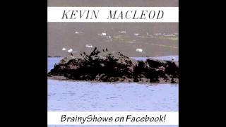 Kevin McLeod  Harmful or Fatal [upl. by Schumer]