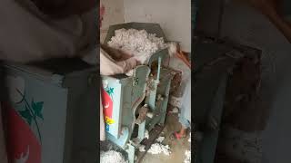 cotton seeds machine short video updating [upl. by Teria]