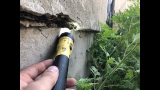 Rat Proofing How to Rat Proof Your Home  Rodent Control amp Pest Management in the Bay Area [upl. by Ecyac]