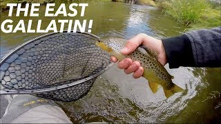 Fly Fishing The East Gallatin River [upl. by Llebana205]