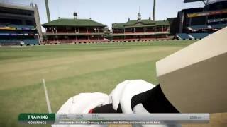 Don Bradman Cricket 17 PRO MODE FPS Gameplay  1080p [upl. by Stone]