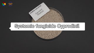 Cyprodinil video [upl. by Rimidalv417]