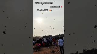 🪁Makar Sankranti patang patangbazi trending makarsankranti viralvideo [upl. by Robma]