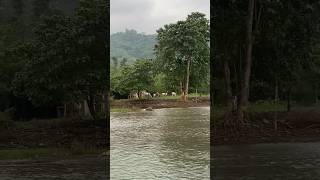 RIVER CROSSING river riverside camping [upl. by Vicky]