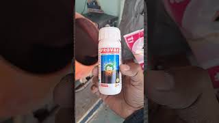 provax and start up saaf for cumin seed treatment carboxin thiram carbendazim mancozeb cumine [upl. by Nodnarbal499]