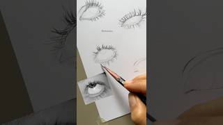 How to Draw Eyelashes A StepbyStep Tutorial shorts eyelashes [upl. by Eileme499]